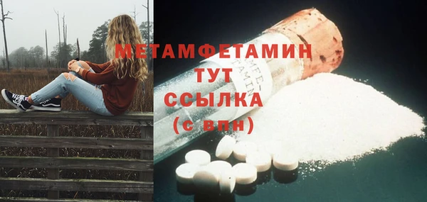 шишки Мегион