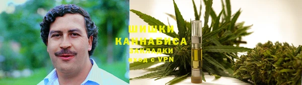 apvp Медногорск