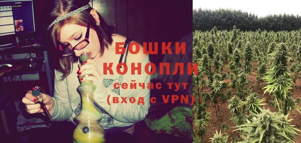 шишки Мегион