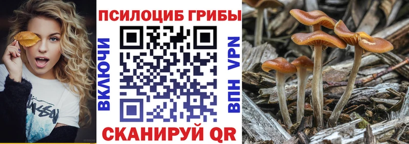 Галлюциногенные грибы мицелий  продажа наркотиков  Бор 