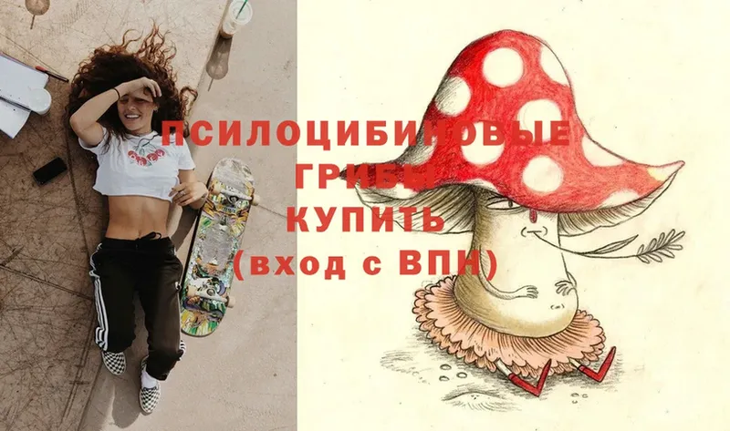 Галлюциногенные грибы Psilocybe  где купить   Бор 